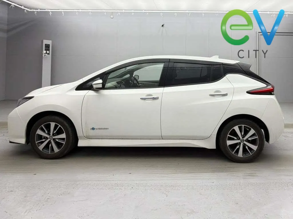 2020 Nissan Leaf e+ X (62kWh) — photo 4