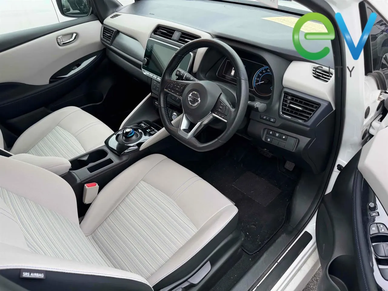 2020 Nissan Leaf e+ X (62kWh) — photo 10