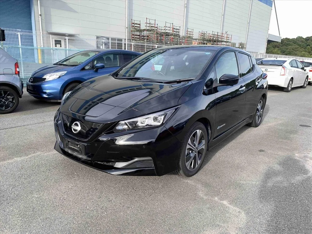 2022 Nissan Leaf X V Selection (40kWh), photo 3