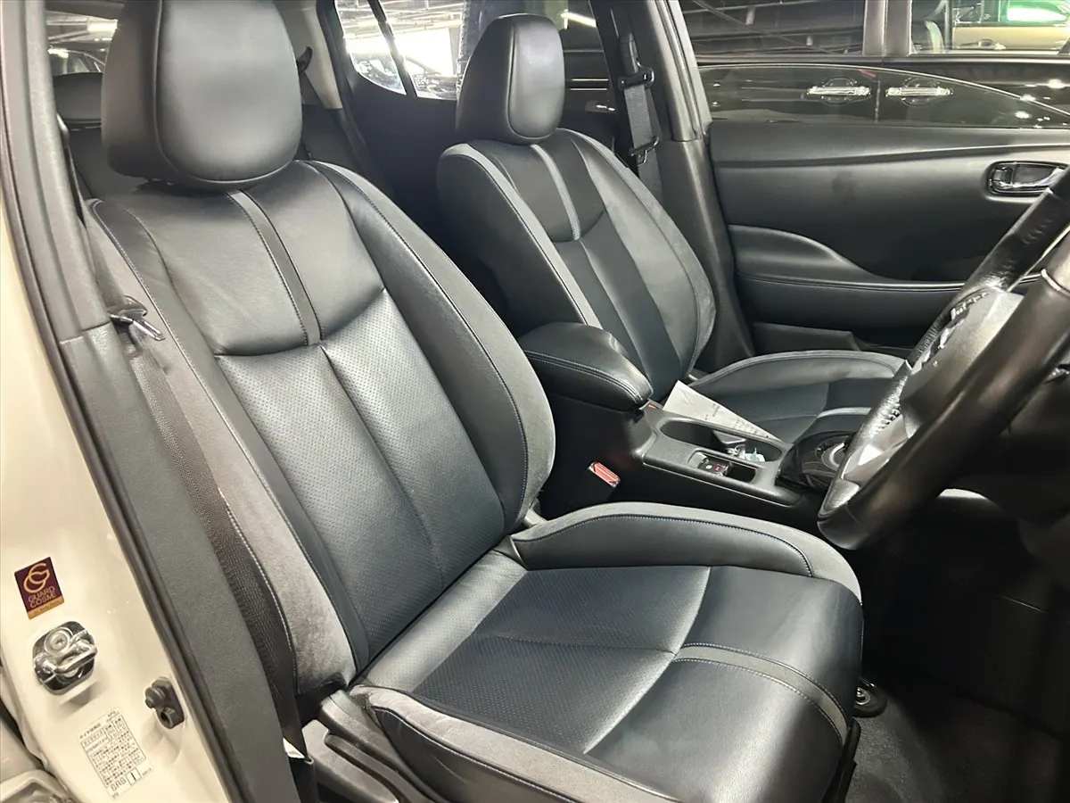 2020 Nissan Leaf e+ G (62kWh) — photo 3