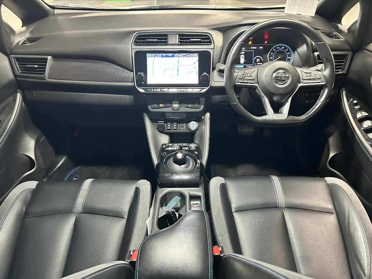 2020 Nissan Leaf e+ G (62kWh) — photo 8