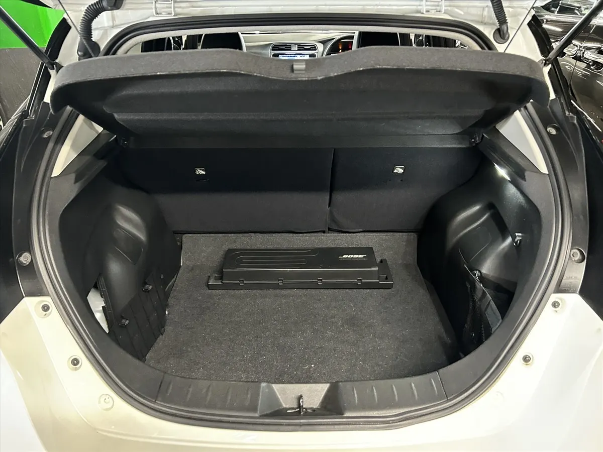 2020 Nissan Leaf e+ G (62kWh) — photo 10