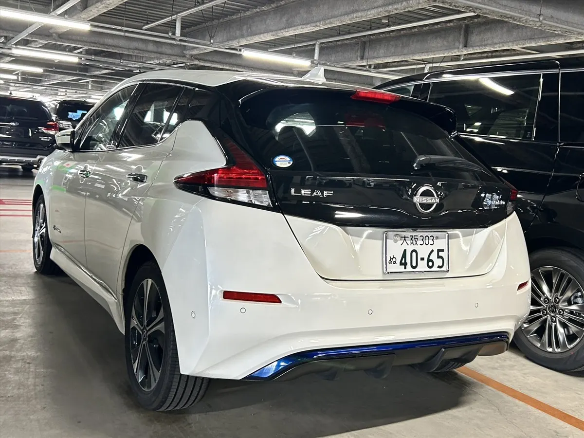 2020 Nissan Leaf e+ G (62kWh) — photo 2