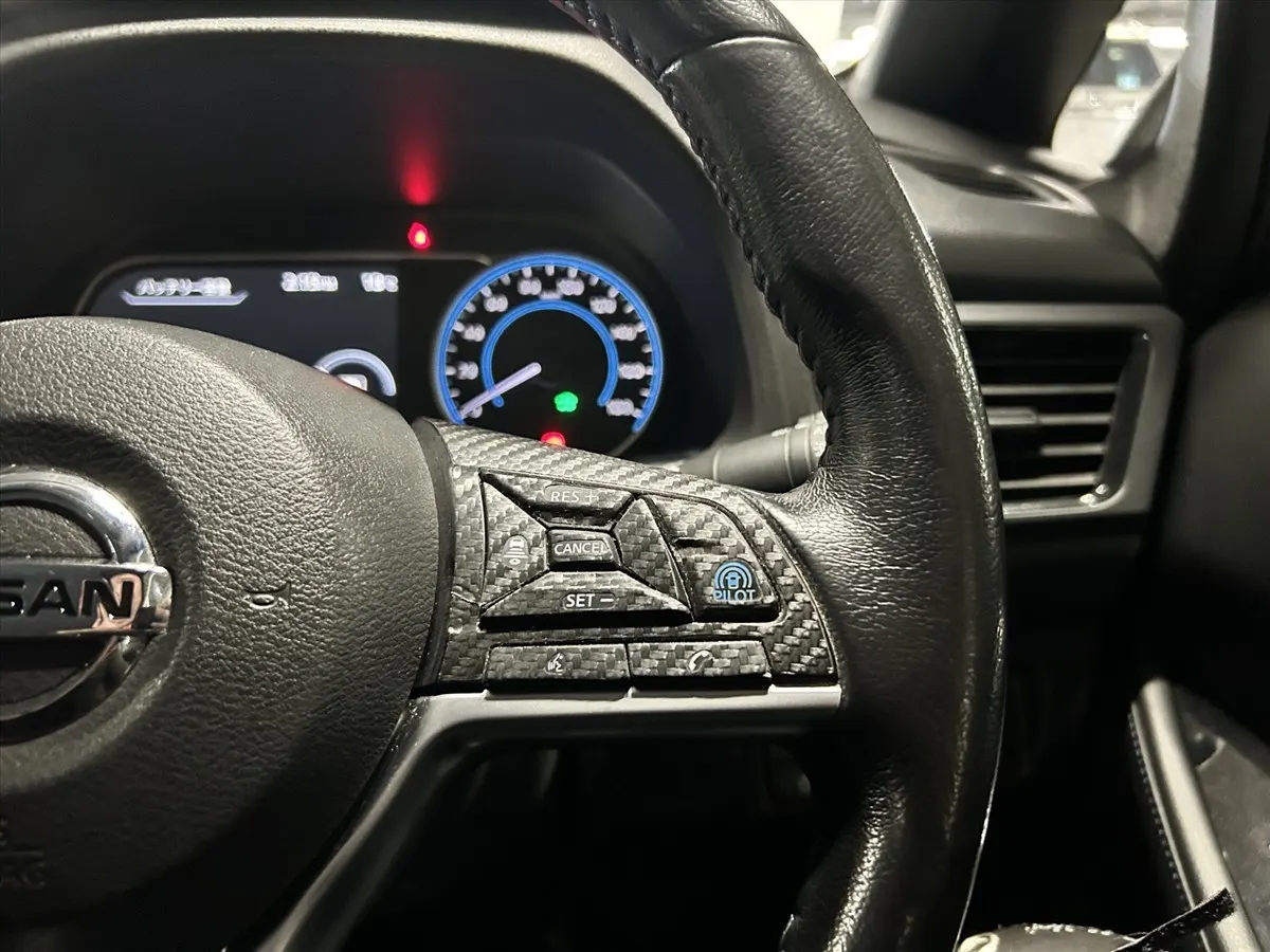2020 Nissan Leaf e+ G (62kWh) — photo 6