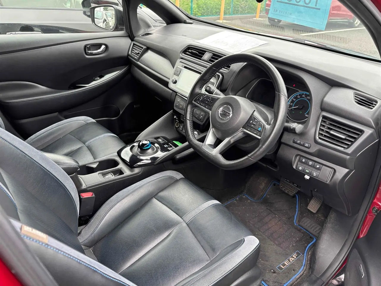 2019 Nissan Leaf e+ G (62kWh) — photo 3