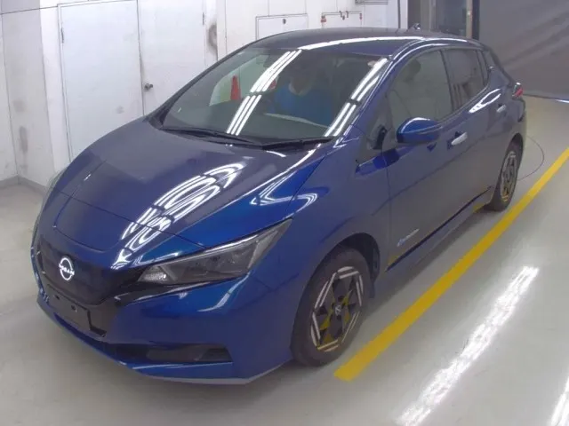 2022 Nissan Leaf e+ X (62kWh), photo 3