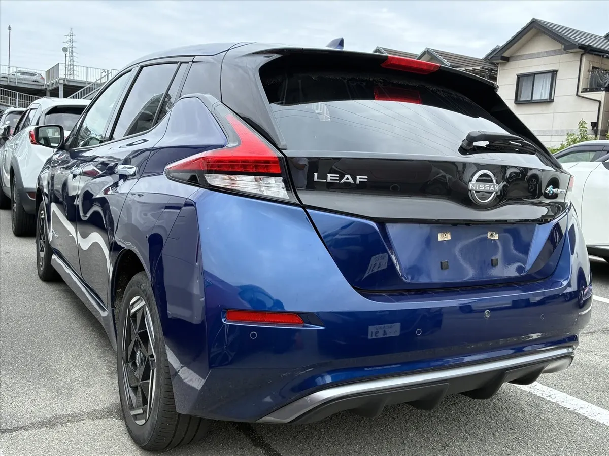 2022 Nissan Leaf e+ X (62kWh), photo 2