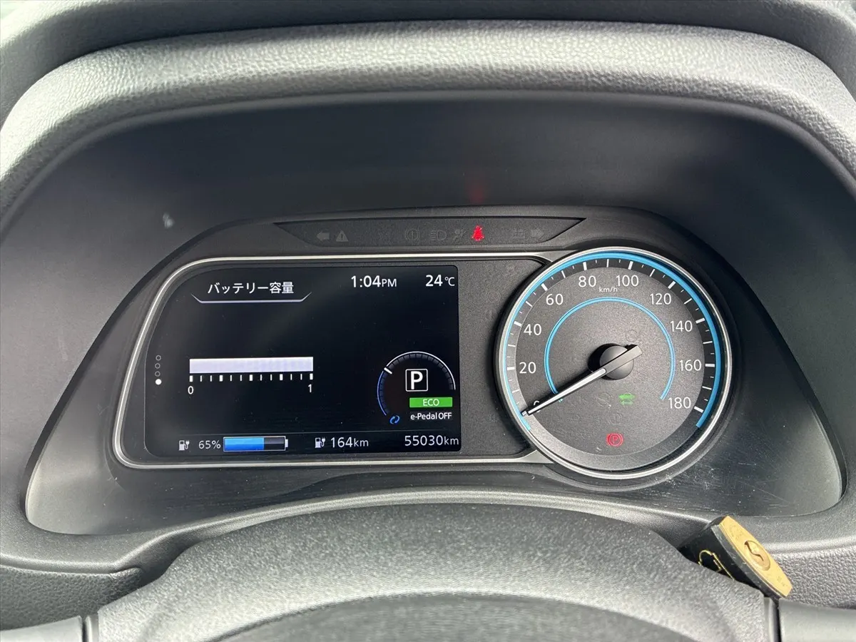 2021 Nissan Leaf AUTECH (40kWh) — photo 7
