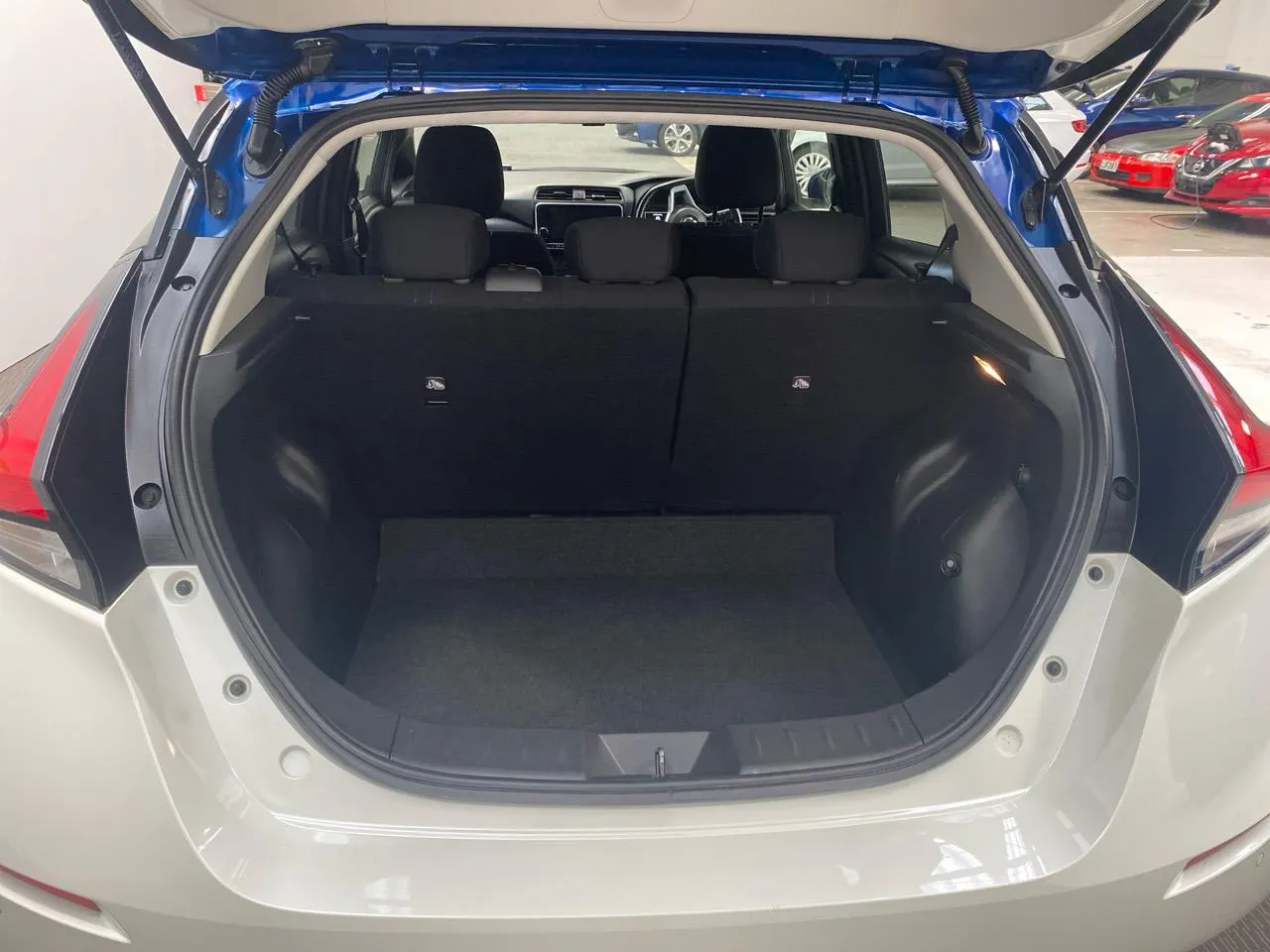 2020 Nissan Leaf e+ X (62kWh) — photo 10