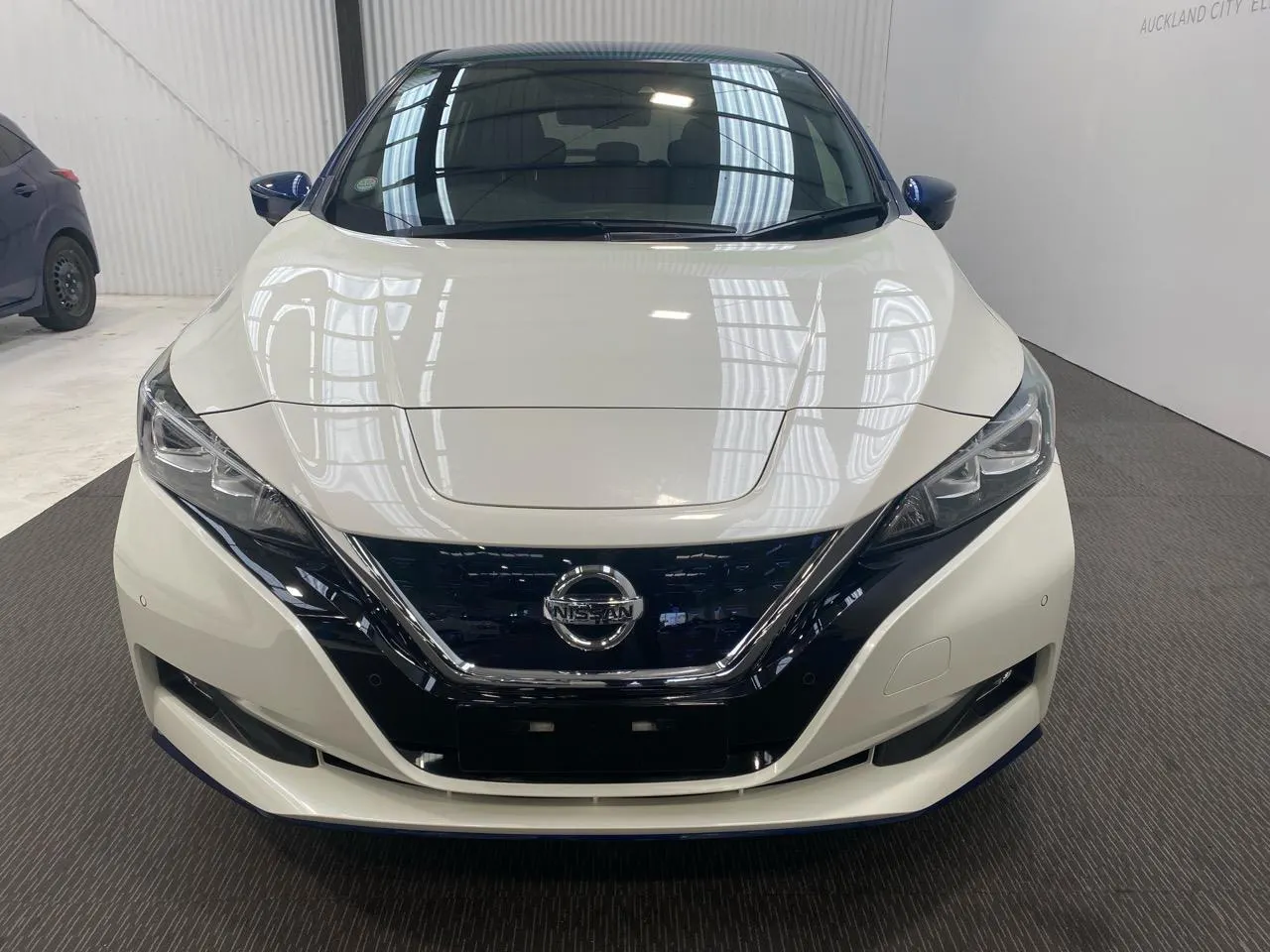 2020 Nissan Leaf e+ X (62kWh) — photo 9