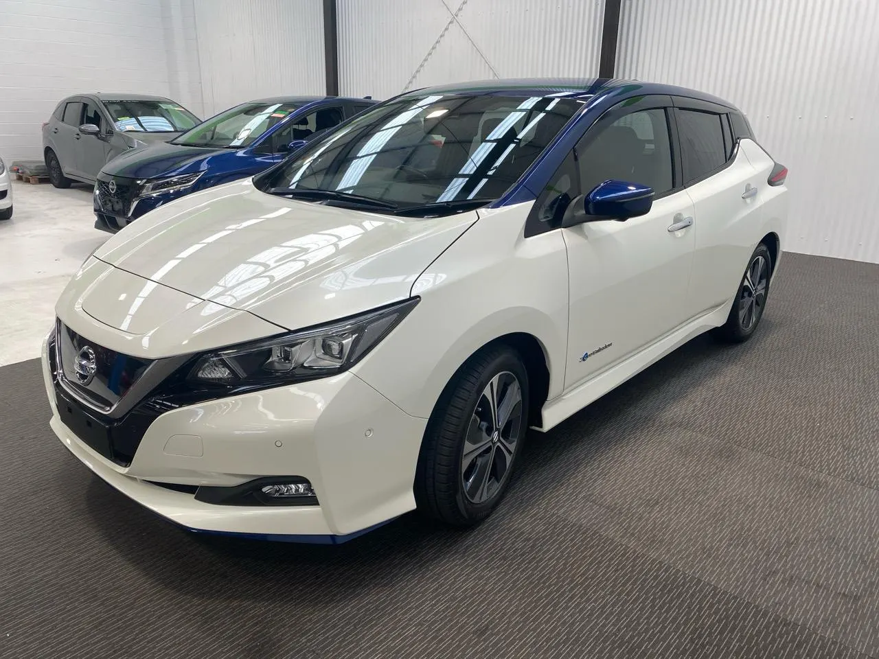 2020 Nissan Leaf e+ X (62kWh) — photo 8