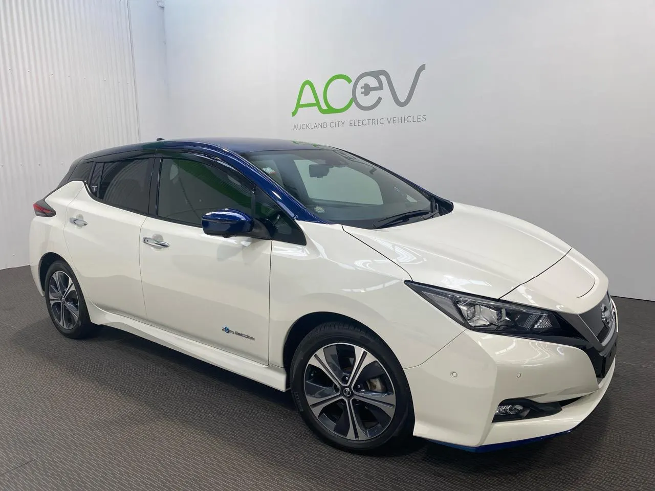 2020 Nissan Leaf e+ X (62kWh) — photo 2