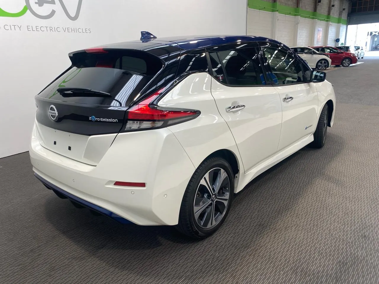 2020 Nissan Leaf e+ X (62kWh) — photo 4