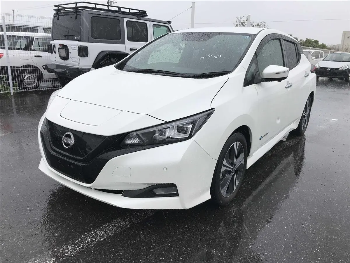 2022 Nissan Leaf X V Selection (40kWh), photo 4
