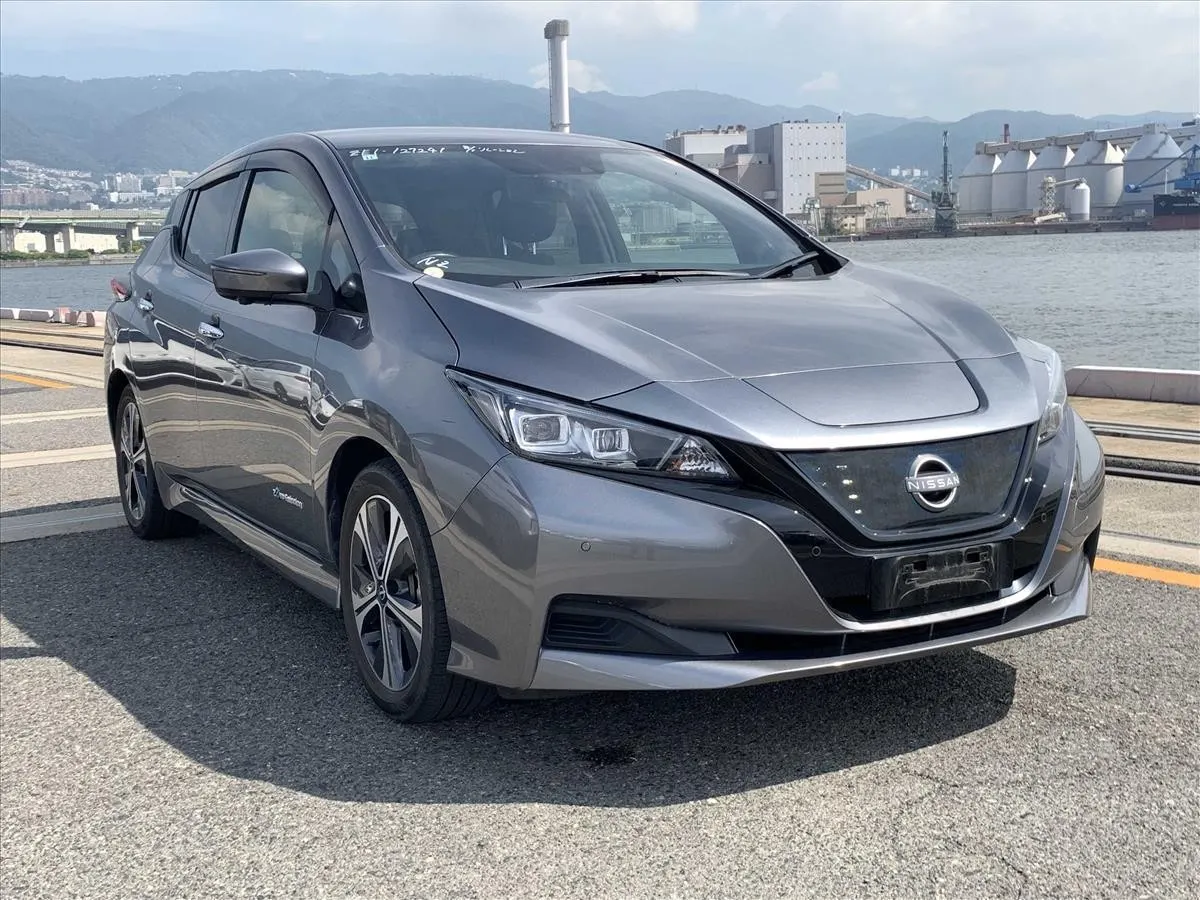 2021 Nissan Leaf X V Selection (40kWh) — photo 4