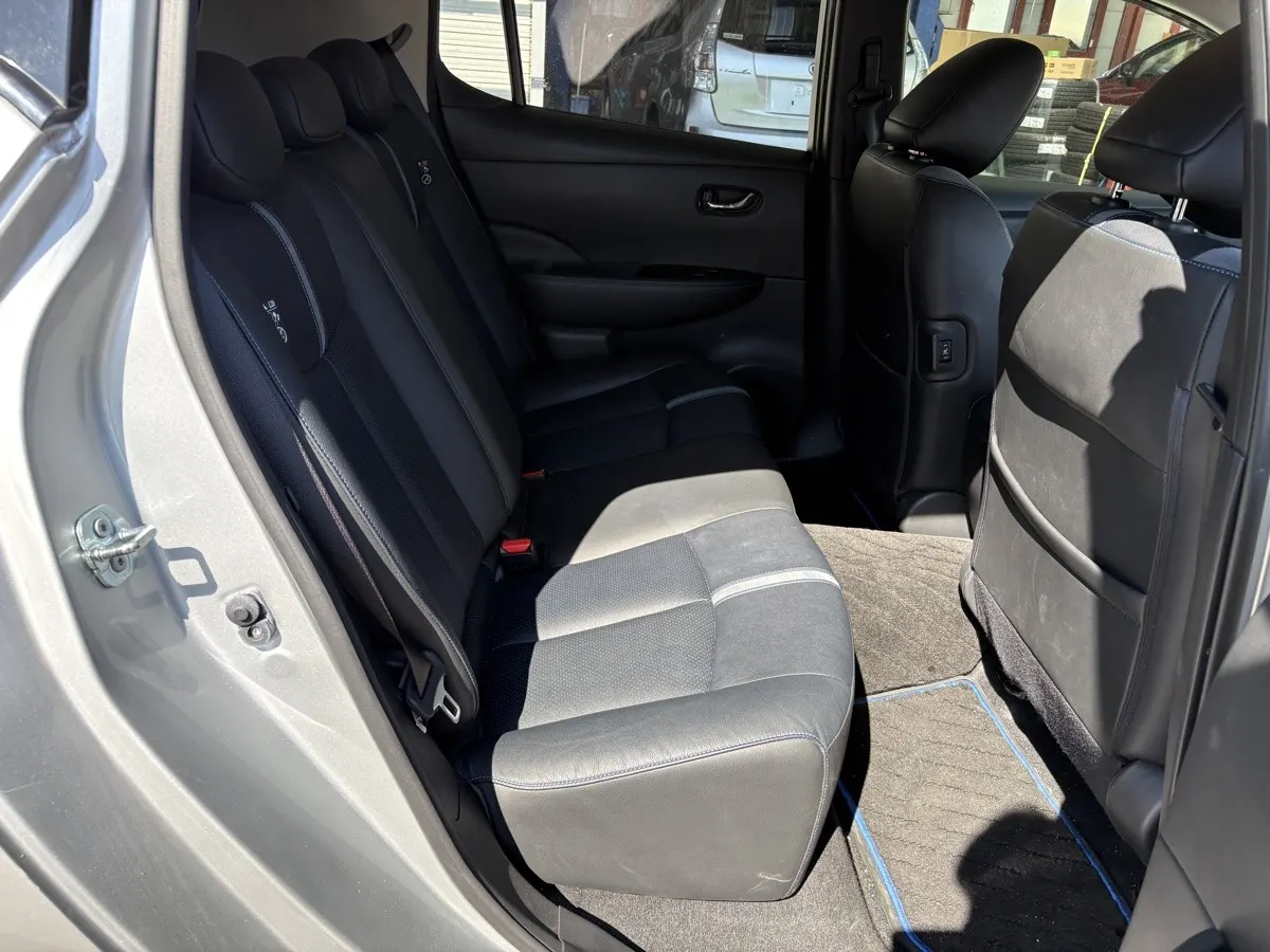 2019 Nissan Leaf G (40kWh) — photo 9
