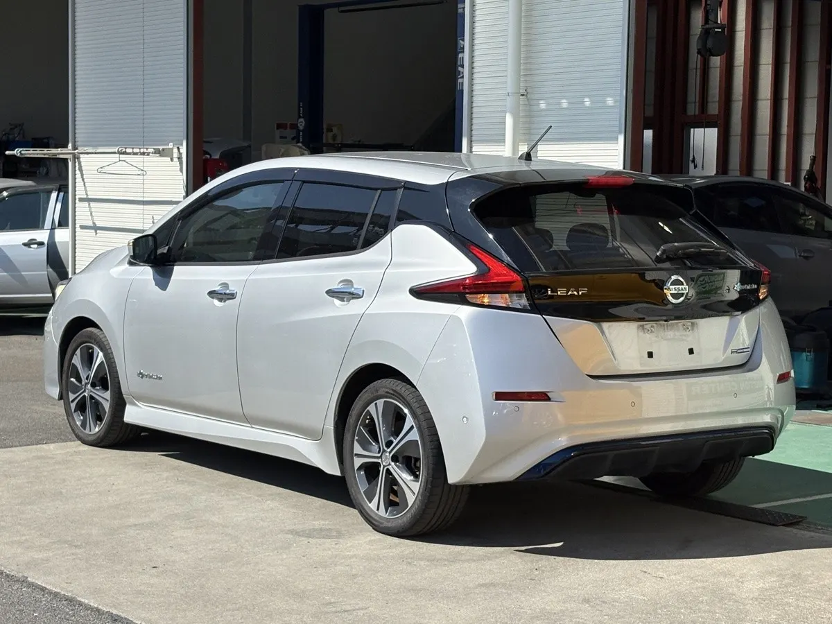 2019 Nissan Leaf G (40kWh) — photo 3
