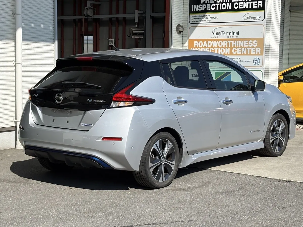 2019 Nissan Leaf G (40kWh) — photo 2