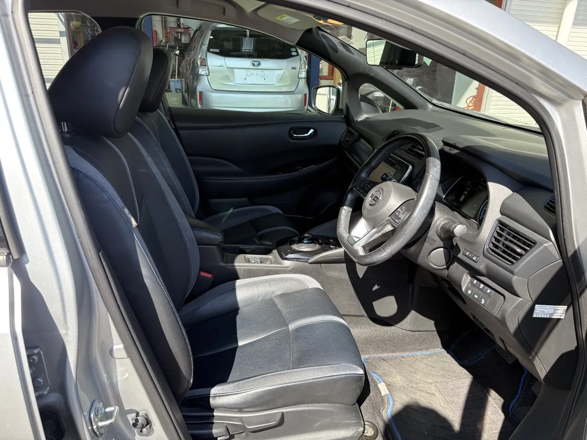 2019 Nissan Leaf G (40kWh) — photo 6