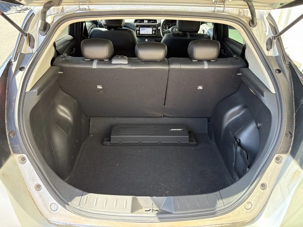 2019 Nissan Leaf G (40kWh) — photo 10