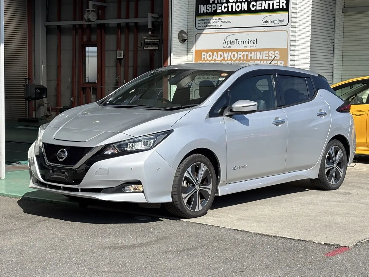 2019 Nissan Leaf G (40kWh) — photo 5