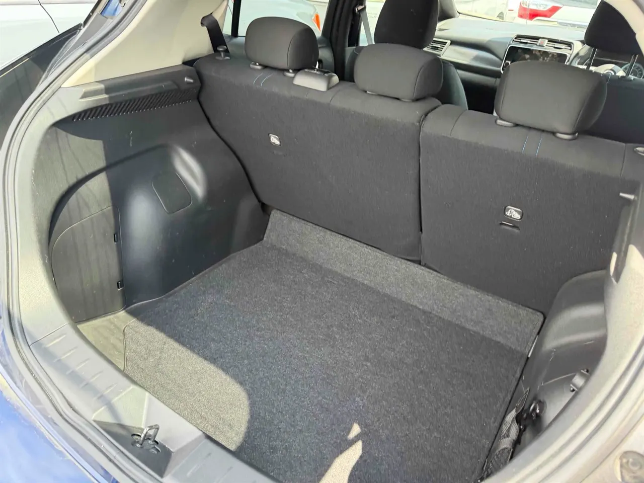 2021 Nissan Leaf e+ X (62kWh) — photo 6