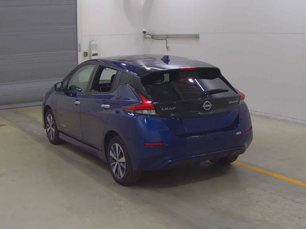 2021 Nissan Leaf e+ X (62kWh) — photo 3