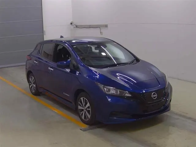 2021 Nissan Leaf e+ X (62kWh) — photo 2