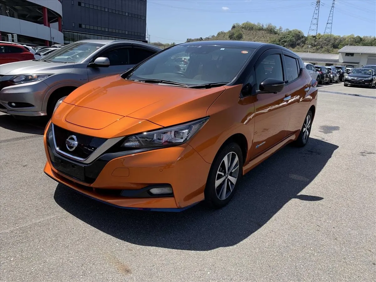 2021 Nissan Leaf e+ X (62kWh), photo 3