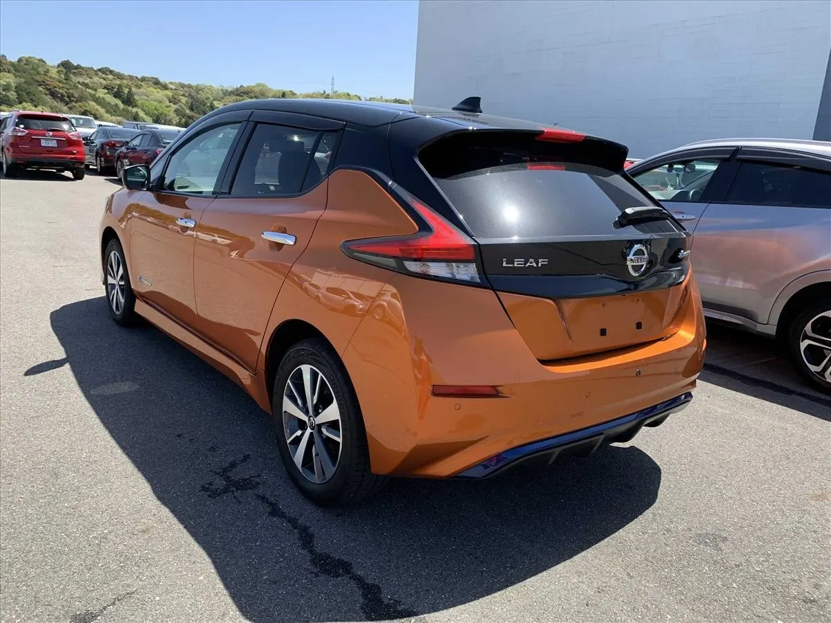 2021 Nissan Leaf e+ X (62kWh), photo 2