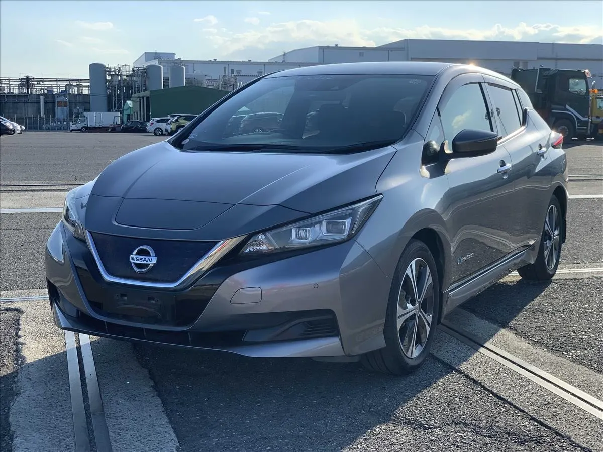 2018 Nissan Leaf X (40kWh) — photo 3