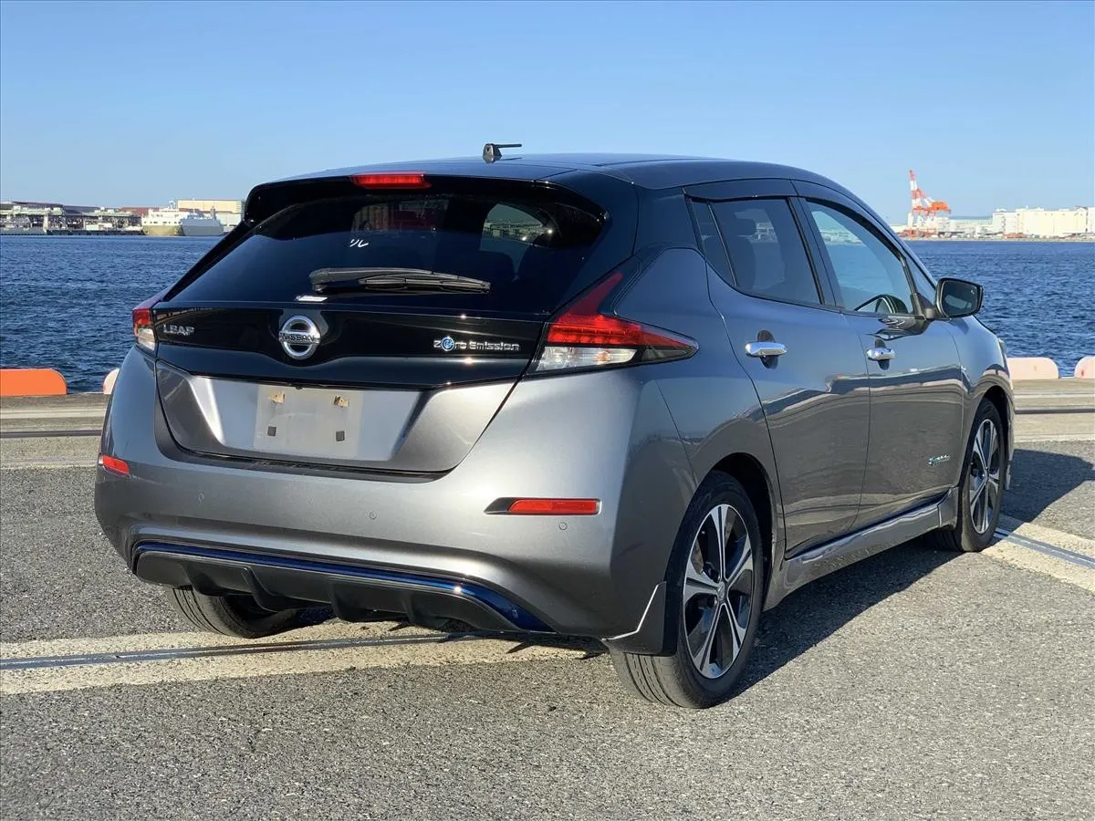 2018 Nissan Leaf X (40kWh) — photo 4