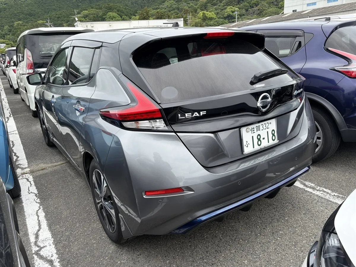 2018 Nissan Leaf X (40kWh) — photo 2