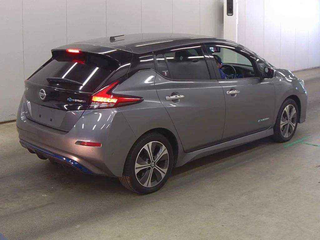 2019 Nissan Leaf e+ G (62kWh) — photo 6