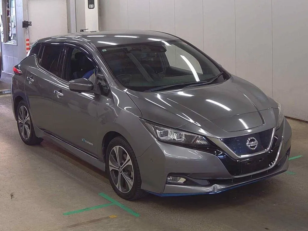 2019 Nissan Leaf e+ G (62kWh) — photo 2