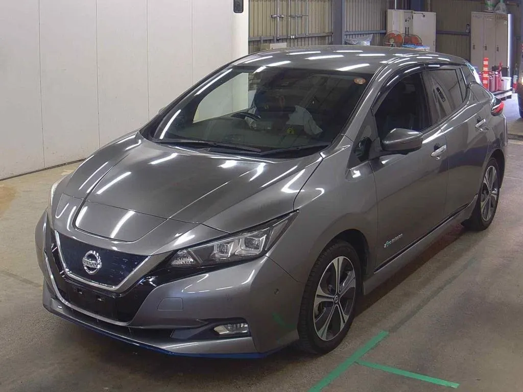 2019 Nissan Leaf e+ G (62kWh) — photo 3