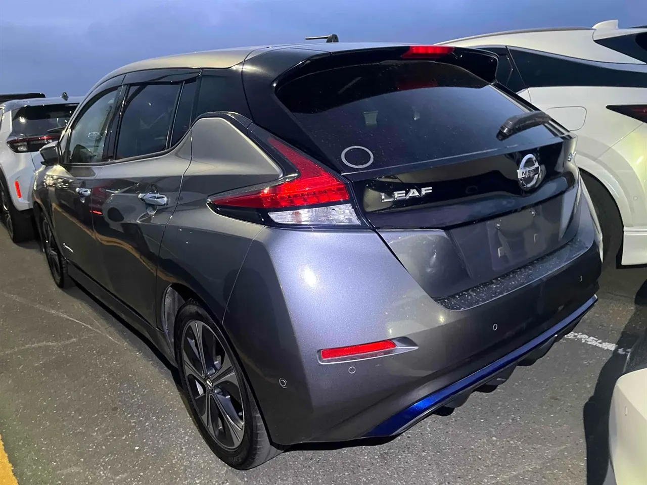 2019 Nissan Leaf e+ G (62kWh) — photo 4