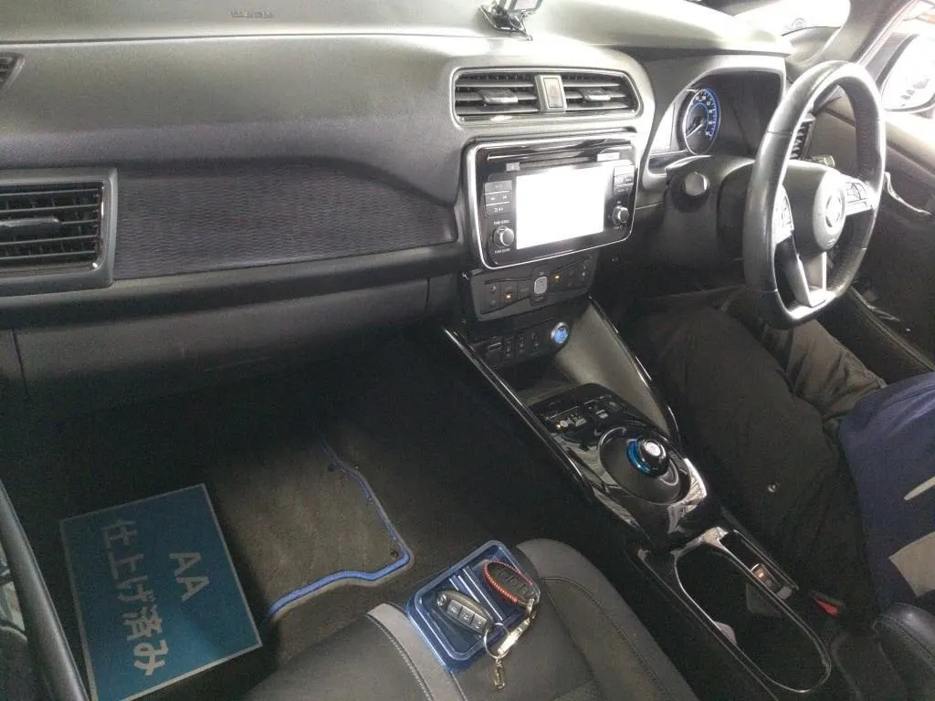 2019 Nissan Leaf e+ G (62kWh) — photo 7