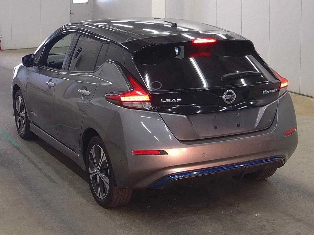 2019 Nissan Leaf e+ G (62kWh) — photo 5