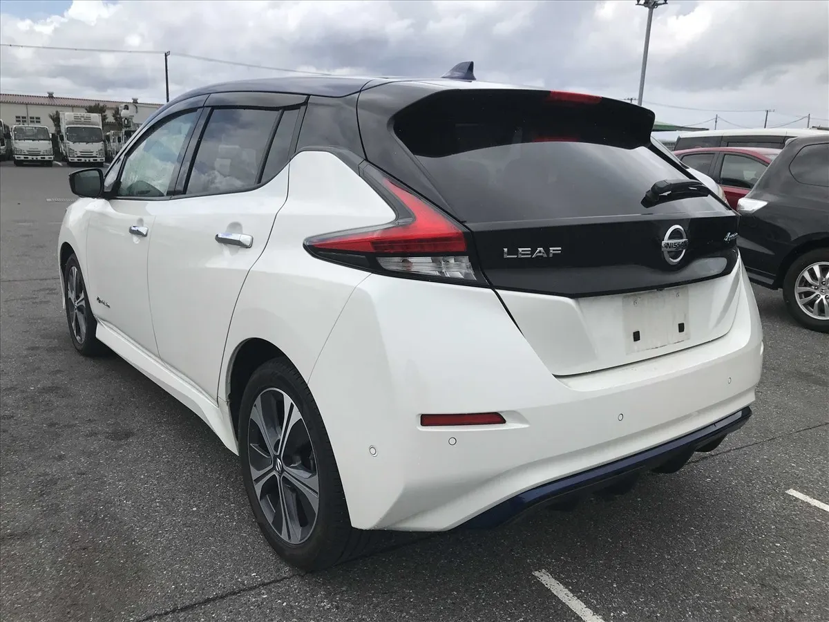 2020 Nissan Leaf e+ G (62kWh) — photo 4