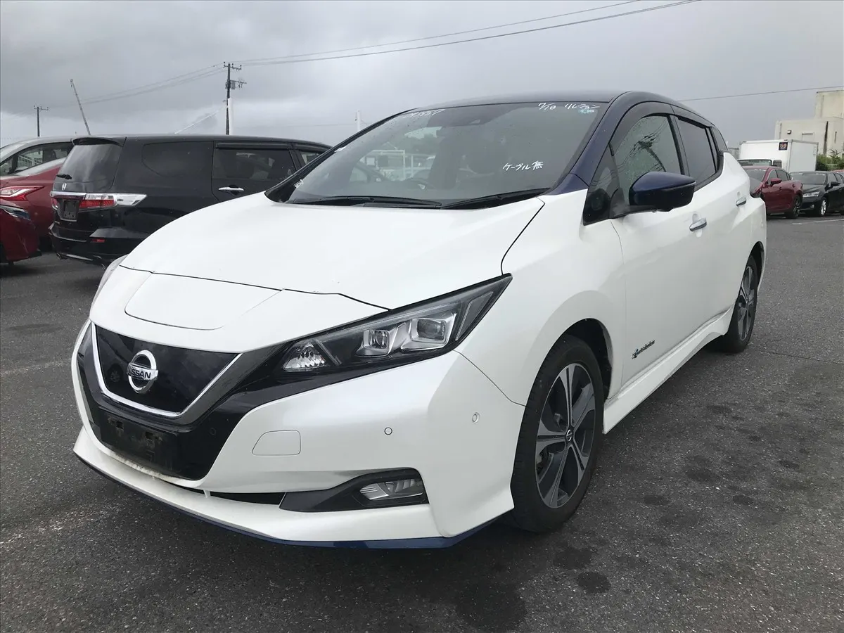 2020 Nissan Leaf e+ G (62kWh) — photo 3