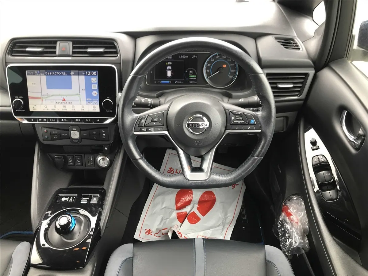2020 Nissan Leaf e+ G (62kWh) — photo 8
