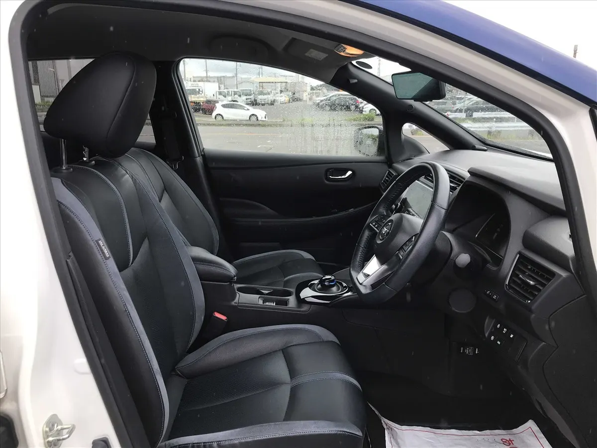 2020 Nissan Leaf e+ G (62kWh) — photo 6