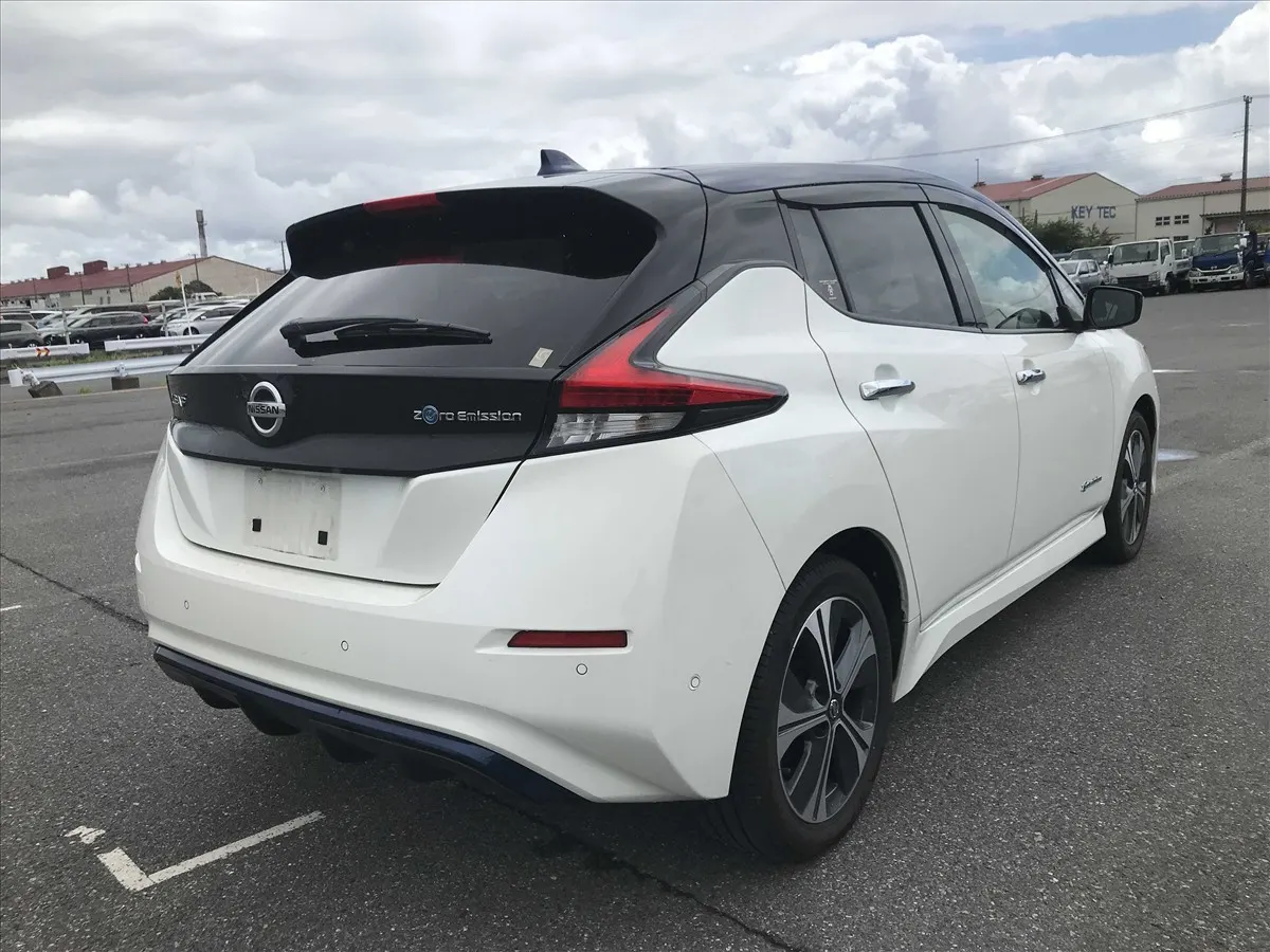 2020 Nissan Leaf e+ G (62kWh) — photo 2