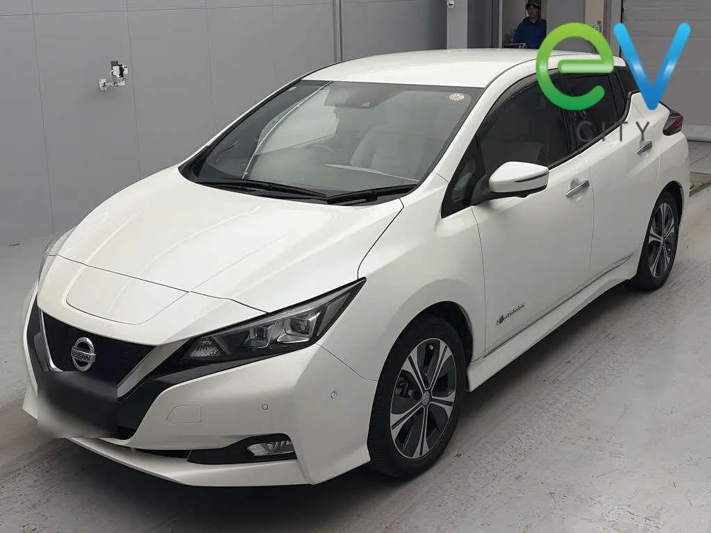 2018 Nissan Leaf X (40kWh) — photo 4