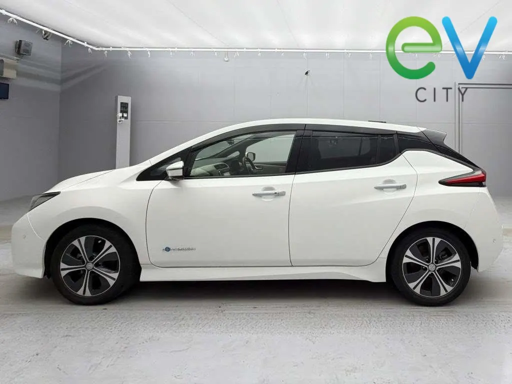 2018 Nissan Leaf X (40kWh) — photo 5