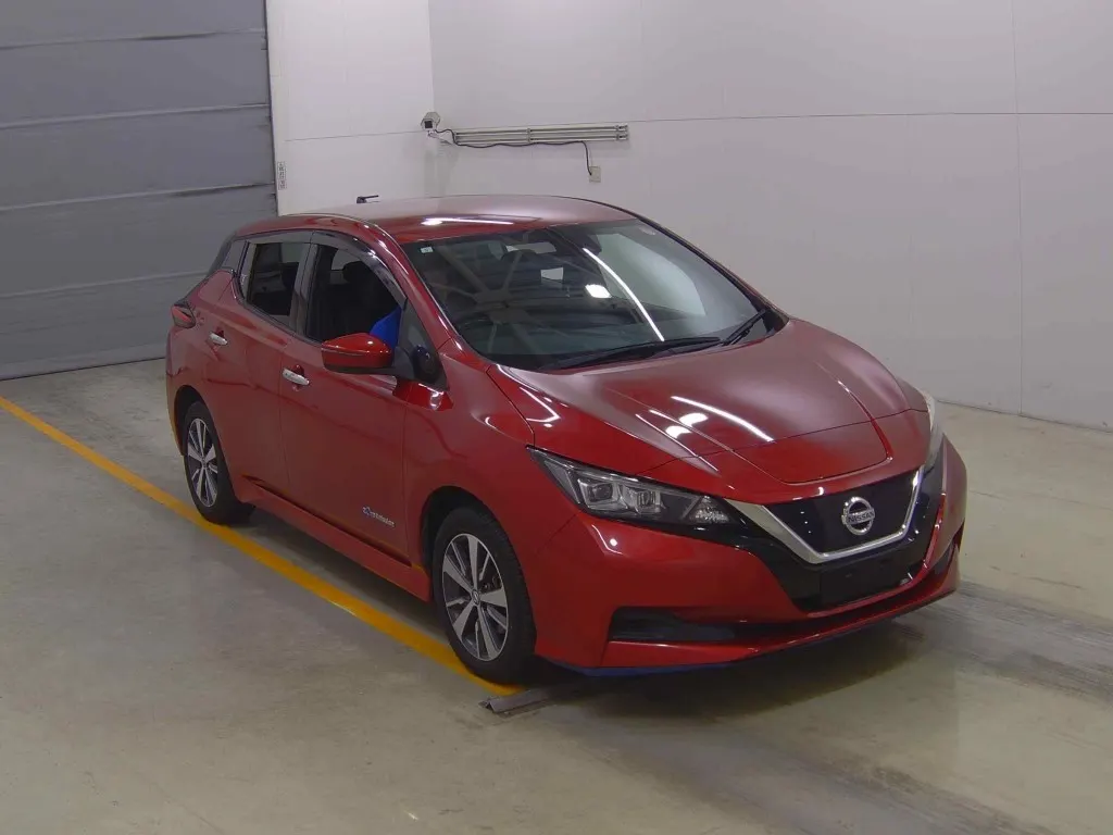 2019 Nissan Leaf e+ X (62kWh) — photo 2