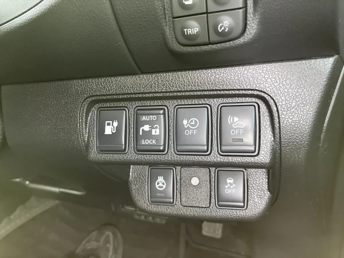 2017 Nissan Leaf 30X Thanks Edition (30kWh) — photo 8