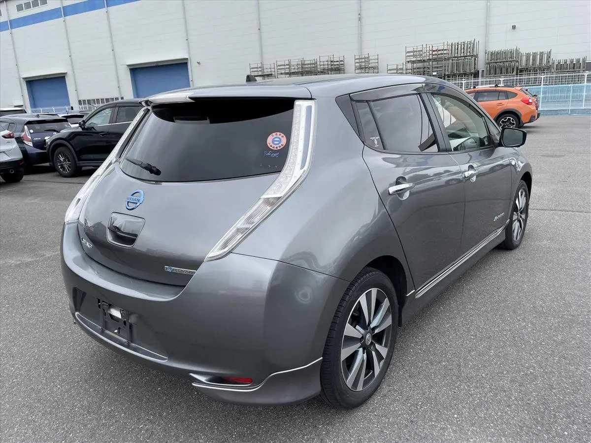 2017 Nissan Leaf 30X Thanks Edition (30kWh) — photo 2