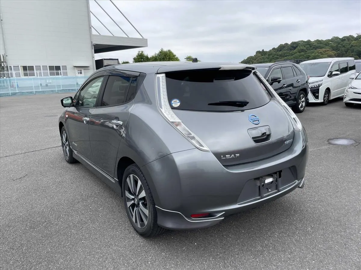2017 Nissan Leaf 30X Thanks Edition (30kWh) — photo 4